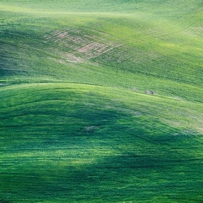 燃烧的蔬菜4新鲜战队破解版下载