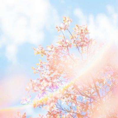 梵花录九游版下载